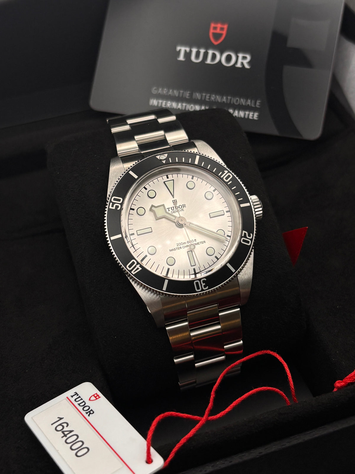 Tudor black bay 59